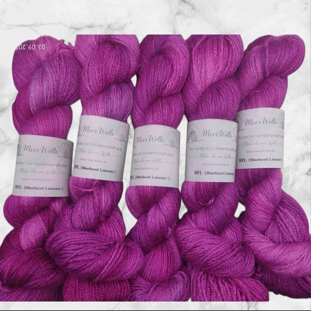 BFL – Bluefaced Leicester