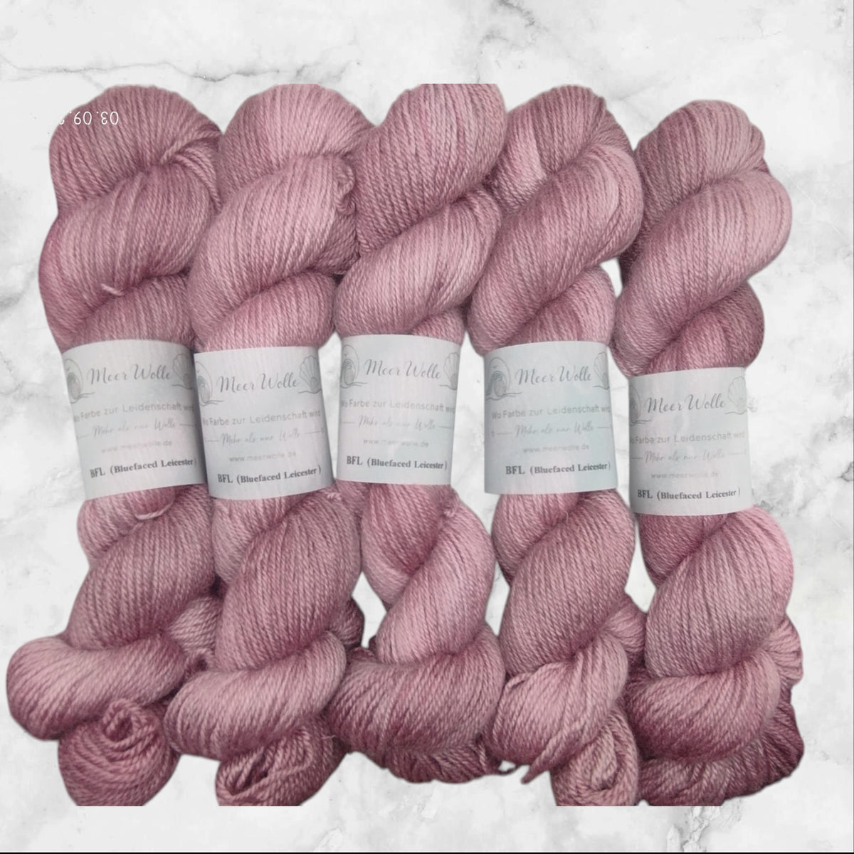 BFL – Bluefaced Leicester