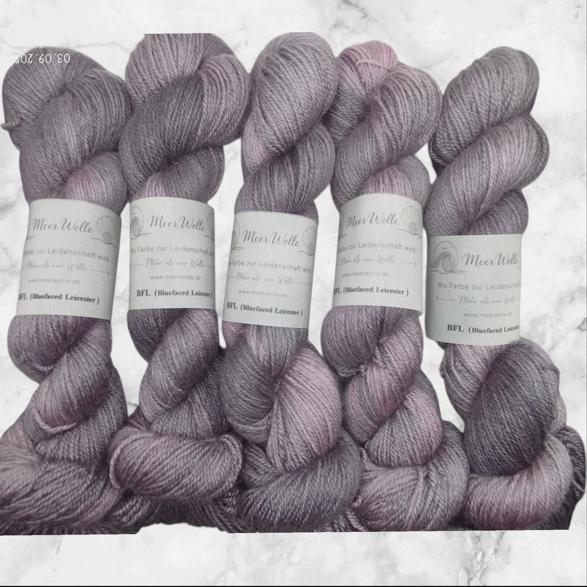BFL – Bluefaced Leicester