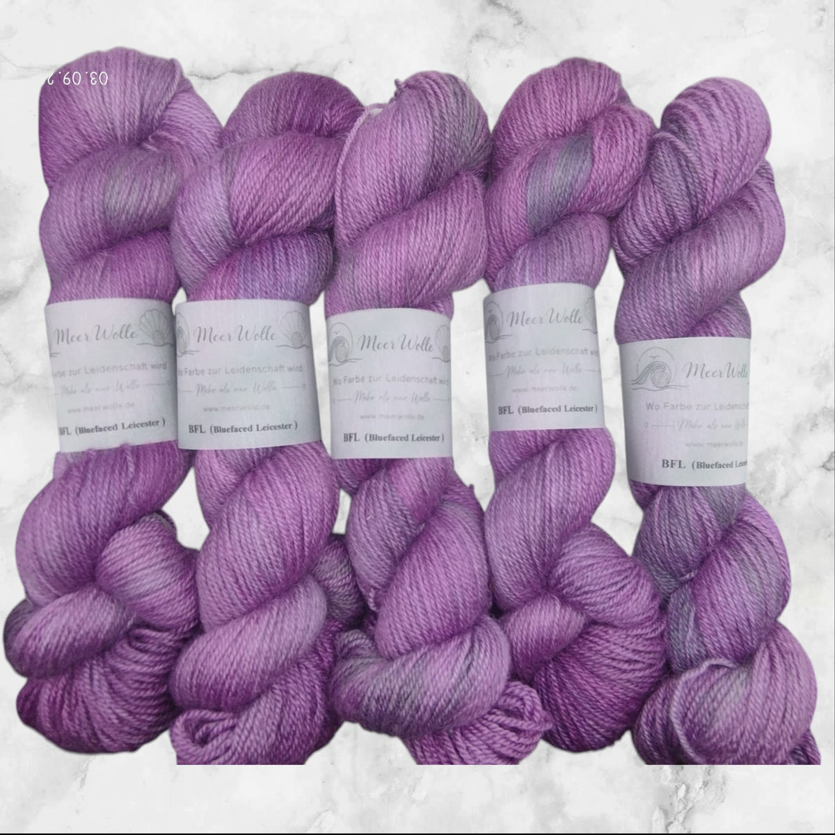 BFL – Bluefaced Leicester