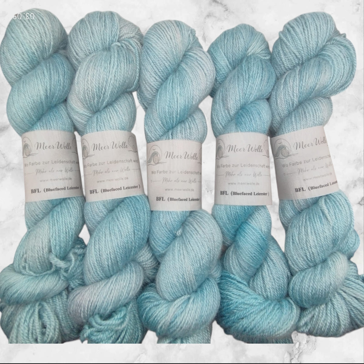 BFL – Bluefaced Leicester