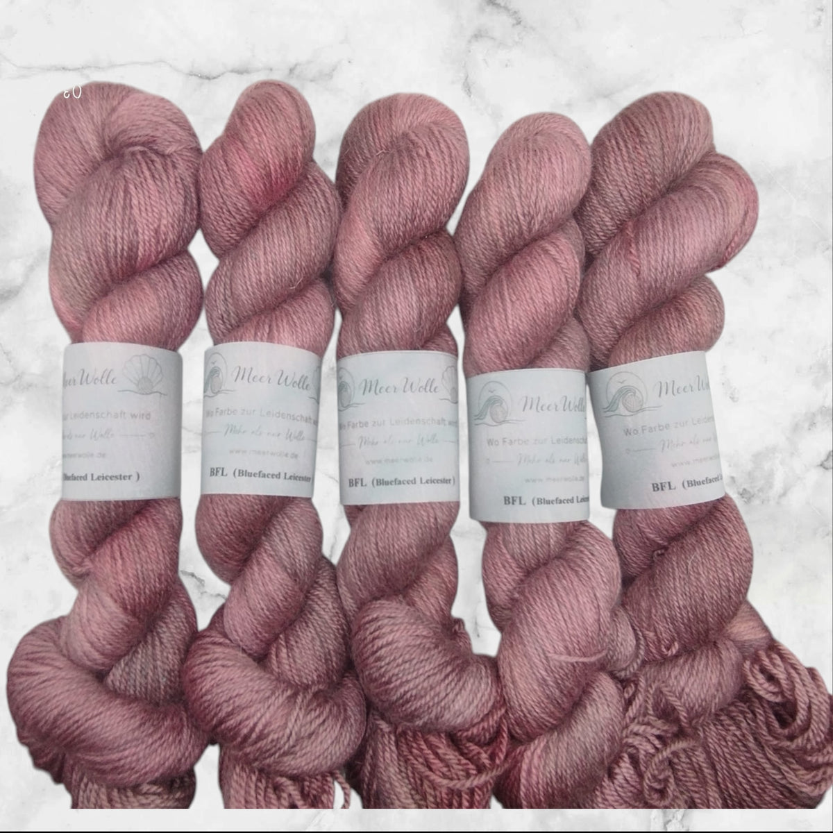 BFL – Bluefaced Leicester