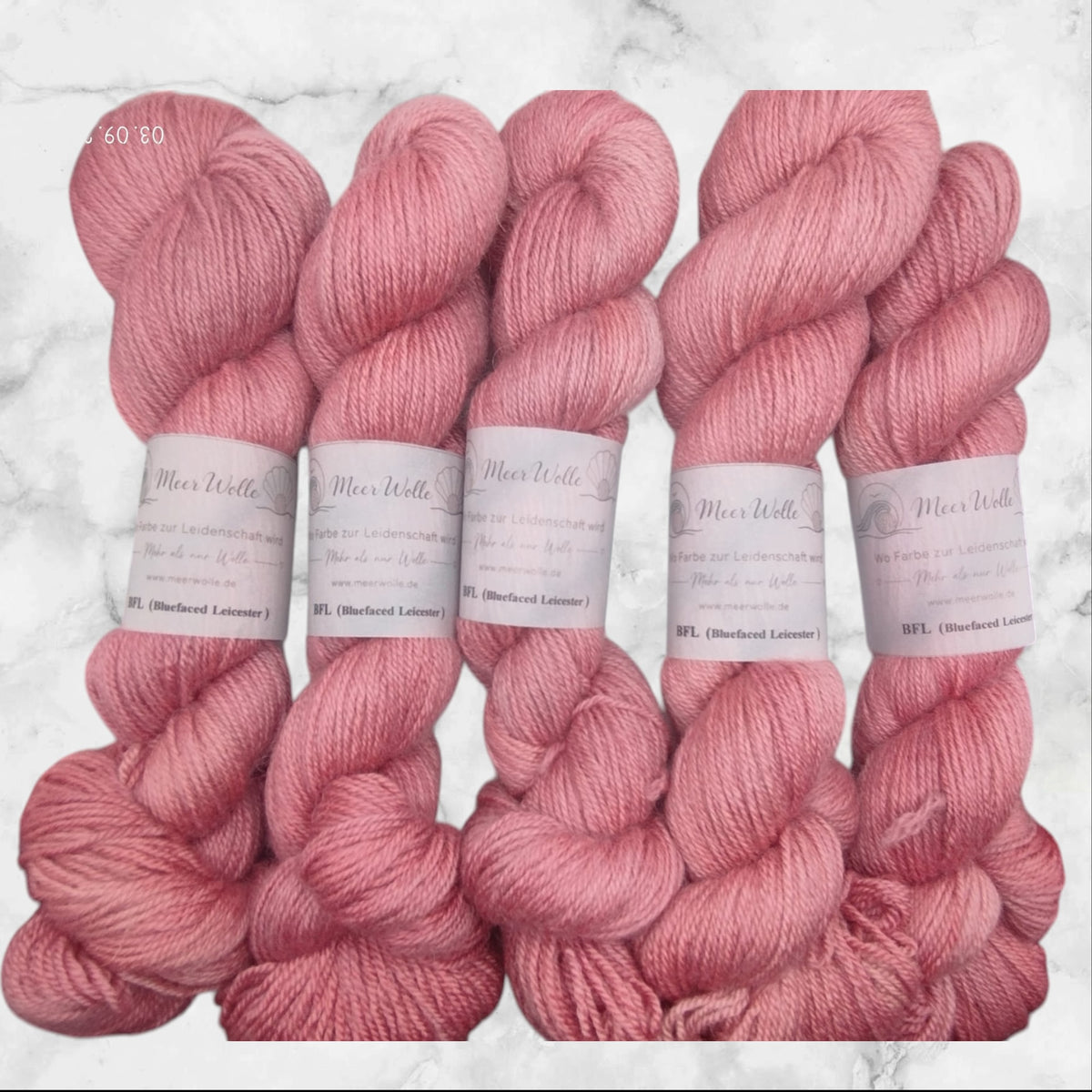 BFL – Bluefaced Leicester