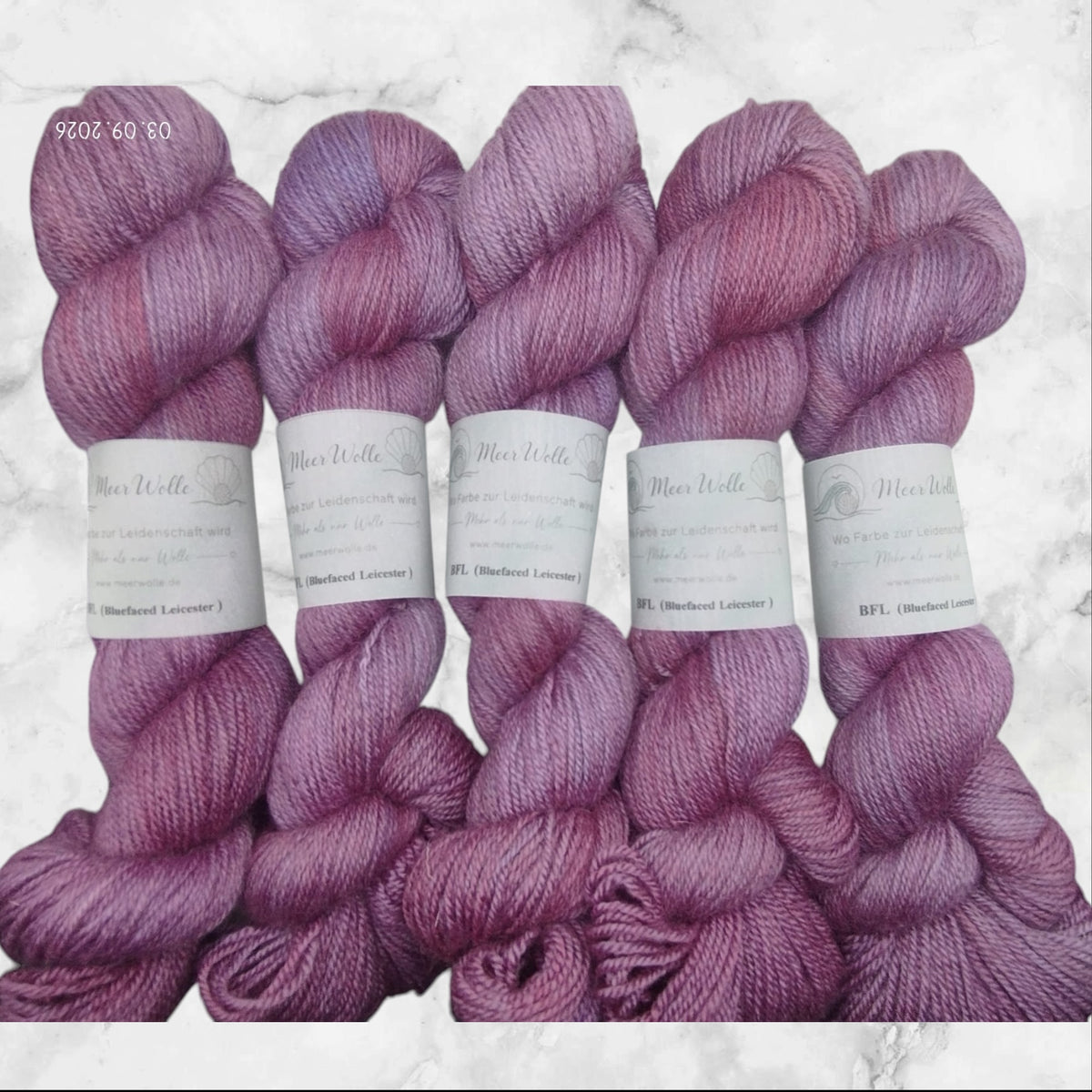 BFL – Bluefaced Leicester