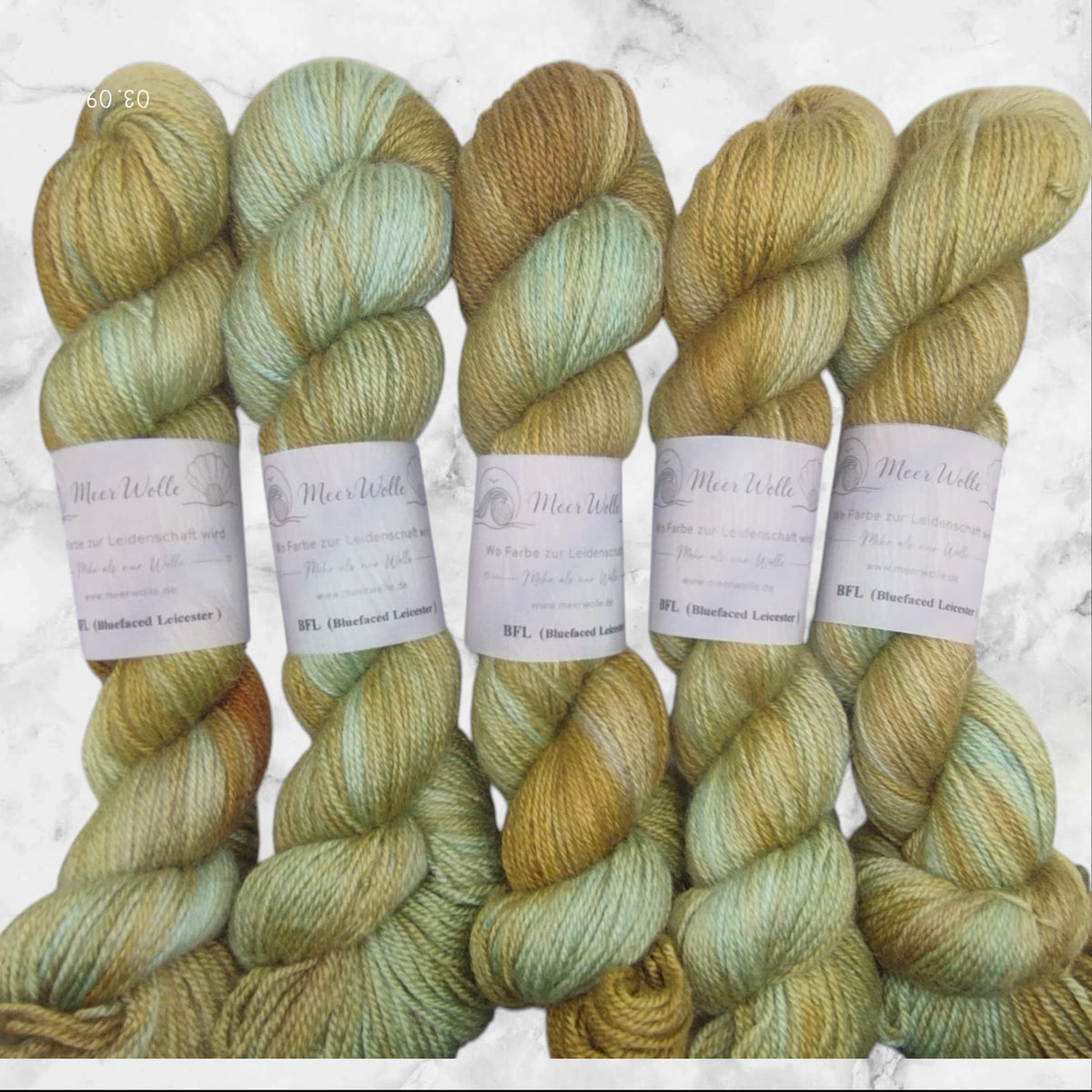 BFL – Bluefaced Leicester